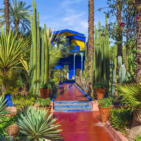 ysl garden in marrakech|jardin majorelle entrance fee.